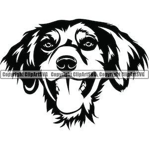 Brittany Spaniel #10 sorridente felice animale domestico cane razza puntatore setter cucciolo pedigree purosangue. SVG. PNG Clipart vettoriale Cricut taglio taglio