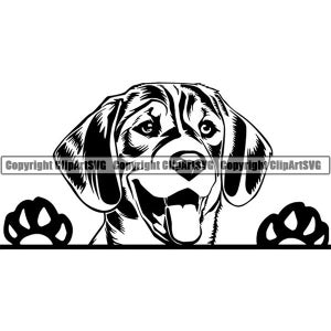 Beagle #41 Peeking Dog Smiling Puppy Paws Pedigree Bloodline Pet Breed K-9 Canine Foxhound Logo .SVG .PNG Clipart Vector Cricut Cut Cutting