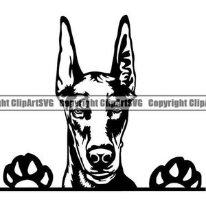 Può includere: Silhouette in bianco e nero di un Dobermann Pinscher che sporge da una superficie con le zampe visibili. Le orecchie del cane sono dritte e la sua espressione è vigile.