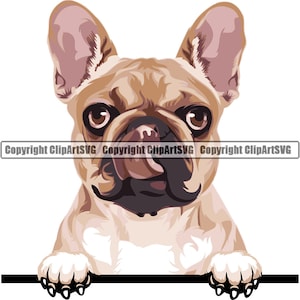 French Bulldog Dog Peeking Peek-A-Boo Breed Happy Paw Puppy Pup Pet Art Cartoon Cute Rescue Logo SVG PNG Clipart Vector Cricut Cut Cutting