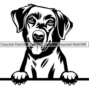May include: Black and white illustration of a Labrador Retriever dog peeking over a surface with its tongue sticking out.