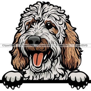 Pyredoodle Sourire Furtivement Chien Mignon Chiot Tête Canine Animal De Compagnie Grandes Pyrénées Toy Poodle Portrait Patte Dessin Art Logo Tattoo Design SVG PNG Coupe