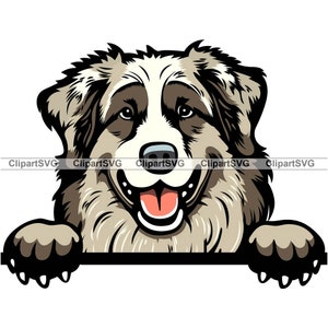 Pyrenean Shepherd Peeking Dog Smiling Cute Puppy Happy Head Canine Pet Breed Portrait Paw Cartoon Drawing Art Logo Tattoo Design SVG PNG Cut