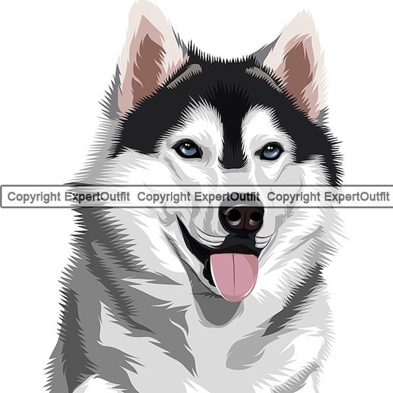 Classic Siberian Husky Dog Profile Drawing Poster for Sale by LaLanny   Redbubble