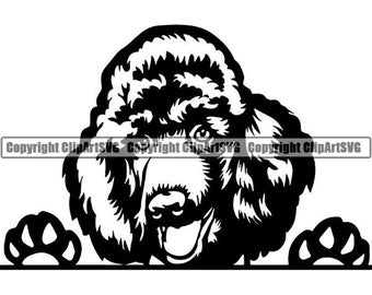 Poodle #83 Peeking Dog Smiling Breed K-9 Animal Pet Puppy Paws Canine Pedigree Logo .SVG .EPS .PNG Digital Clipart Vector Cricut Cut Cutting