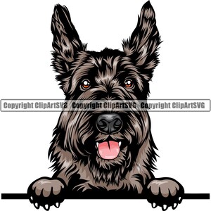 Schotse Terriër hond gluren Peek-A-Boo ras glimlachend puppy dier huisdier gelukkig Canine Schnauzer kunst artwork logo JPG PNG SVG clipart vector