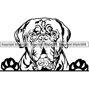 Dogue De Bordeaux chien furtivement Peek-A-Boo race Happy Paw chiot chiot Pet Bullmastiff anglais Mastiff Logo SVG PNG Clipart vecteur coupe coupe