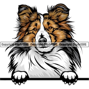 Shetland Sheepdog hond gluren Peek-A-Boo ras glimlachend puppy dier huisdier Hound Canine Collie kunst artwork logo. JPG. PNG. SVG clipart vector
