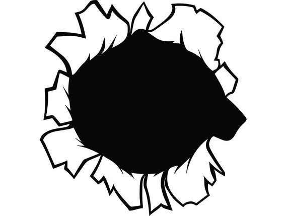 Download Bullet Hole 11 Ripped Rip Torn Open Crack Shatter Break ...