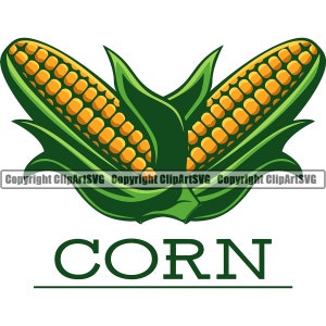 Mais spiga gambo cibo vegetale fattoria pannocchia mais dolce raccolto produrre mais elemento di design biologico logo SVG PNG Clipart vettoriale Cricut taglio taglio