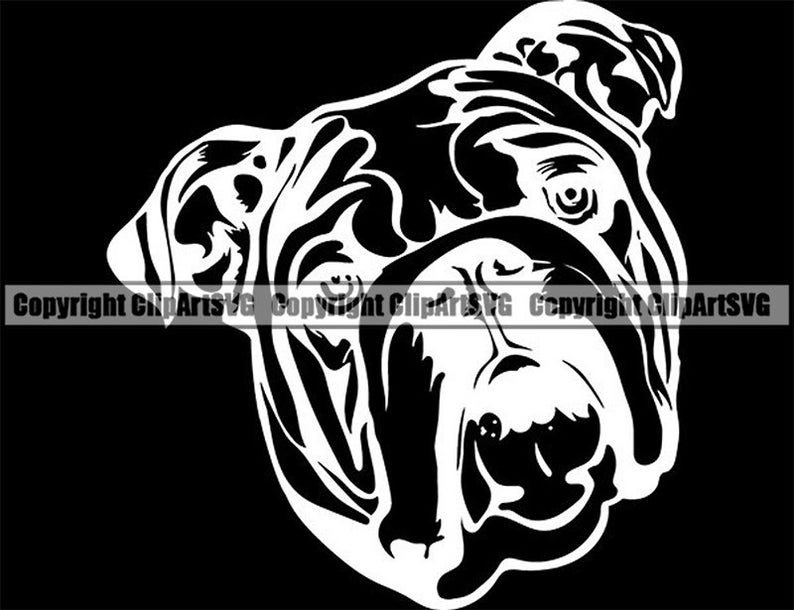 Download English Bulldog 4 American Mascot Head Pedigree Dog Breed ...