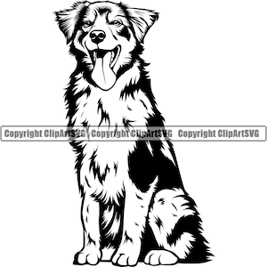 Op de afbeelding: Zwart-witte illustratie van een Australian Shepherd hond die zit met zijn tong naar buiten.