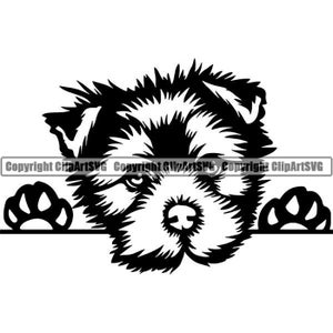 Yorkshire Terrier #112 furtivement Yorkie chien race Pedigree Animal Pet tour Shih Tzu soyeux chiot Logo.SVG. PNG vecteur Clipart Cricut coupe coupe