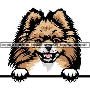 Pommeren hondenras gluren Peek-A-Boo Puppy dier huisdier Pup stamboom raszuivere Canine Artwork kleur Logo SVG PNG Clipart Vector knippen snijden