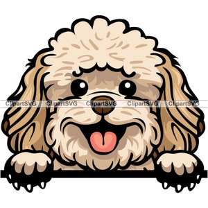 Malipoo Smiling Peeking Dog Puppy Head Cute Canine Pet Maltese Poodle Portrait Paw Print Cartoon Drawing Art Logo Tattoo Design SVG PNG Cut