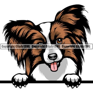 Papillon hondenras gluren Peek-A-Boo stamboom rasechte huisdier Pommeren Pekinees Bichon Frise kleur Logo SVG PNG Clipart Vector knippen snijden