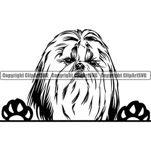 Shih Tzu Dog Breed Peeking Peek-A-Boo Happy Paw Puppy Pup Pet Art K-9 Maltais Pomeranian Chihuahua Logo SVG PNG Clipart Vector Cut Cutting