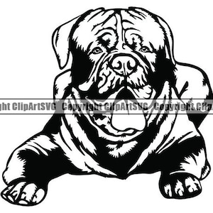 Dogue De Bordeaux #30 hond glimlachend gelukkig ras puppy K-9 rasechte stamboom Franse Mastiff dier huisdier logo. SVG. PNG Vector Cricut knippen snijden