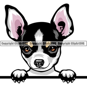 Chihuahua hondenras gluren Peek-A-Boo gelukkig puppy huisdier lang kort haar kleur artwork Papillon Yorkshire Yorkie logo PNG SVG clipart vector