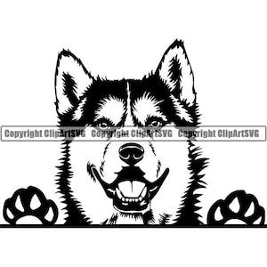 Husky sibérien #51 furtivement souriant traîneau à chiens neige race K-9 Animal Pet Hound Pedigree Design Logo. SVG. PNG vecteur Clipart Cricut coupe coupe
