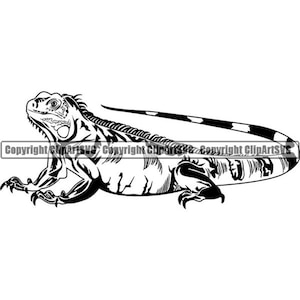 Iguana #3 Pet Lizard Wild Animal Reptile Warm Blooded Exotic Wildlife Aquarium Chameleon Logo .SVG .PNG Clipart Vector Cricut Cut Cutting