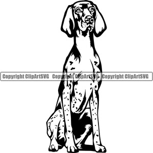 Deutsch Kurzhaar Hund Sit sitzend Rasse Glücklich Pfote Welpe Welpe Haustier Englisch Weimaraner Vizsla Logo SVG PNG Clipart Vektor Schneiden Schneiden