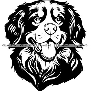 Berner Sennenhund lächelnd niedlich Welpen Gesicht Hunde Tier Haustier Pfotenabdruck Cartoon Zeichnung Kunst Logo Tattoo Design SVG PNG Schneiden Schneiden