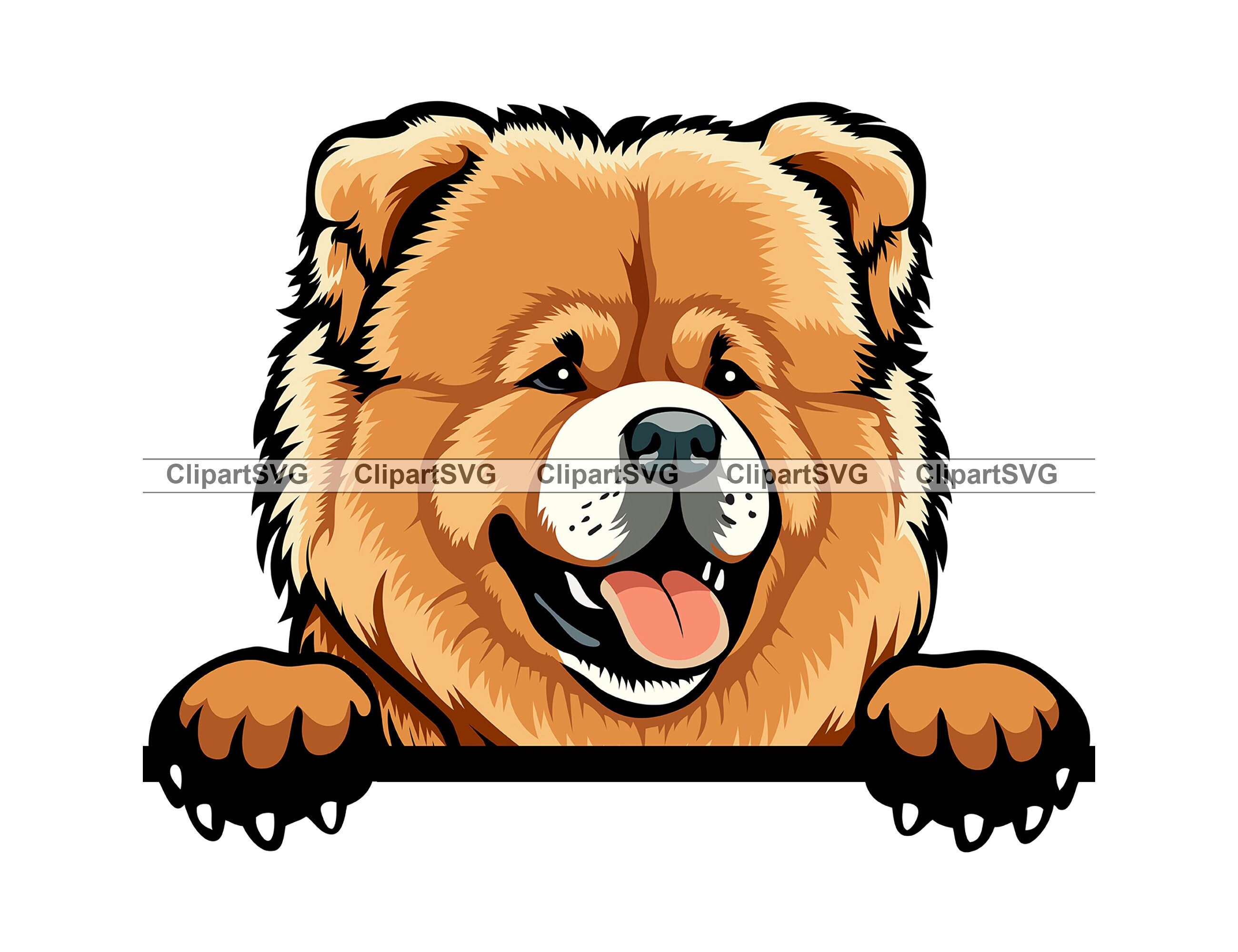 Chow chow fighting outlet