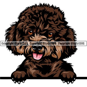 Poodle Dog Breed Peeking Peek-A-Boo Happy Puppy Pet Color Artwork Cocker Spaniel Cockapoo Labradoodle Yorkiepoo Logo PNG SVG Clipart Vector