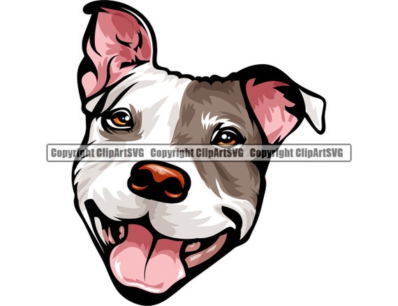 Happy pitbull cheap puppy