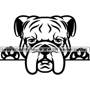 Engelse Bulldog hondenras gluren Peek-A-Boo Paw Puppy Pup huisdier kunst K9 Dogue de Bordeaux Bull Mastiff Logo SVG PNG Clipart Vector knippen snijden