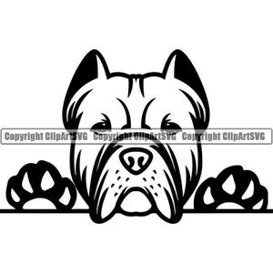 Bulldog #6 Peeking Dog Breed Boxer Mastiff Cane Corso Animal Pet Hound Puppy Cartoon Mascot Logo .SVG .PNG Clipart Vector Cricut Cut Cutting