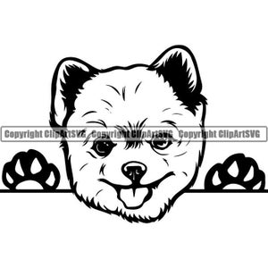 Pomeranian #14 Peeking Dog Breed Pedigree Canine Purebred K-9 Pet Hound Animal Spitz Logo .SVG .PNG Clipart Vector Cricut Cut Cutting File