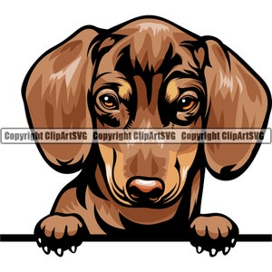 Dachshund Dog Breed Peeking Peek-A-Boo Happy Face Puppy Animal Pet Color Artwork Hound Wiener Hot Dog Design Logo PNG SVG Clipart Vector
