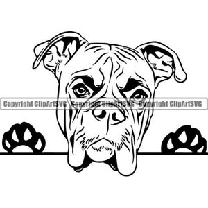 Boxer #41 Peeking Dog Breed K-9 Animal Pet Hound Pedigree Canine Logo Cartoon Mascot Logo.SVG .PNG Digital Clipart Vector Cricut Cut Cutting