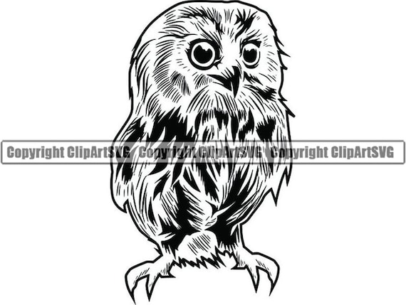 Owl 6 Bird Head Face Wildlife Hoot Hooter Nature Nocturnal Etsy