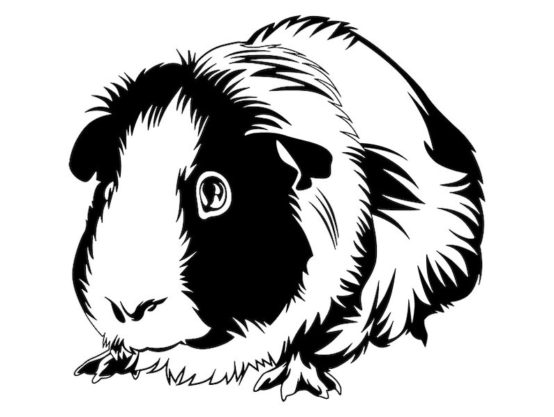 Download Guinea Pig 3 Pet Rodent Design Cute Fluffy Cage Domestic ...
