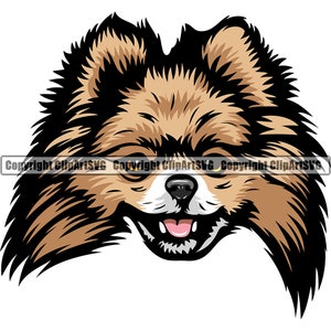 Pommeren hondenras hoofd gezicht puppy dier huisdier Happy Hound stamboom rasechte honden artwork kleur logo SVG PNG clipart vector knippen snijden