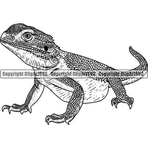 Dragon barbu iguane animal de compagnie lézard Animal sauvage Reptile sang chaud exotique faune caméléon Logo. SVG. PNG vecteur Clipart Cricut coupe coupe