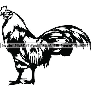May include: A black and white illustration of a rooster in profile. The rooster is depicted with detailed feathers, a prominent comb, and a curved beak. The image is a vector graphic, suitable for various design applications.