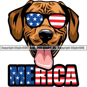 Könnte beinhalten: Ein brauner Hund, der eine Sonnenbrille mit amerikanischem Flaggenmuster trägt. Der Hund streckt seine Zunge heraus und der Text "MERICA" befindet sich unter dem Hund in Rot, Weiß und Blau.