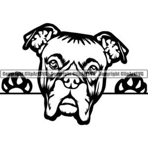 Boxer #2 Peeking Dog Breed K-9 Animal Pet Hound Pedigree Canine Logo Cartoon Purebred Hound Logo .SVG .PNG Clipart Vector Cricut Cut Cutting