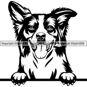 Border Collie Dog Peeking Peek-A-Boo Breed Happy Paw Puppy Pup Pet Art K9 Cattle Australian Shepherd Logo SVG PNG Clipart Vector Cut Cutting