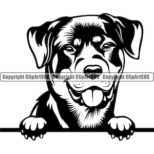 Rottweiler Dog Breed Peeking Peek-A-Boo Pet Canine Pedigree Puppy Purebred Hound Rotty K9 Art Design Logo SVG PNG Clipart Vector Cut Cutting