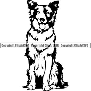 Op de afbeelding: Zwart-witte silhouet van een Border Collie hond die zit met zijn tong naar buiten.