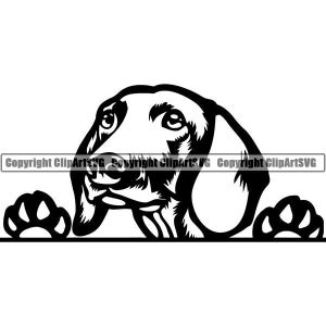Dachshund #71 Peeking Dog Breed Wire Smooth Long Haired K-9 Animal Pet Hound Puppy Hot Design Logo SVG PNG Vector Clipart Cut Cutting File
