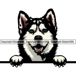Siberische Husky hond gluren Peek-A-Boo ras puppy dier huisdier stamboom rasechte honden artwork kleur logo SVG PNG clipart vector knippen snijden