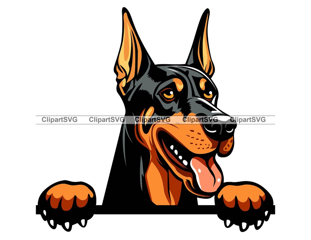 Doberman Pinscher Smiling Peeking Dog Cute Puppy Face Canine Breed Pet ...