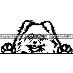Pomeranian #45 Peeking Dog Breed Pedigree Canine Purebred K-9 Pet Hound Animal Spitz Logo .SVG .PNG Clipart Vector Cricut Cut Cutting File