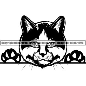 May include: Black and white illustration of a cat peeking over a surface with its paws on either side. The cat has a white patch on its forehead and a serious expression.